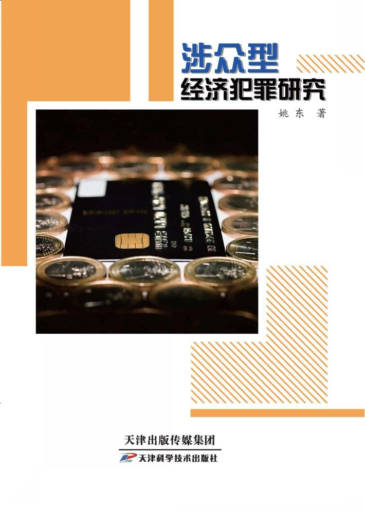 涉众型经济犯罪研究 封面