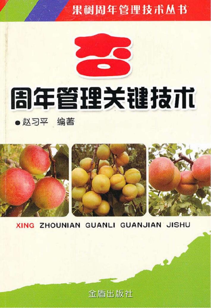杏周年管理关键技术 封面