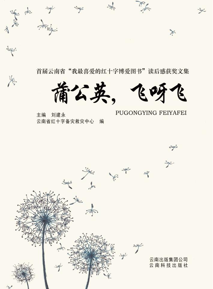 蒲公英  飞呀飞 封面