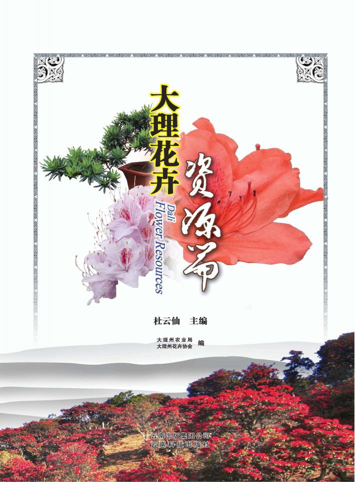 大理花卉 封面