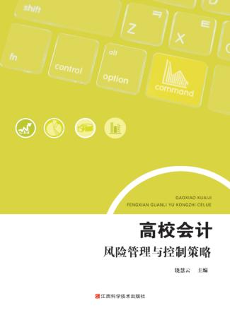 高校会计风险管理与控制策略 封面