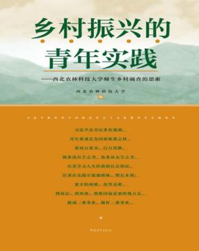 乡村振兴的青年实践 封面