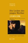 少年维特之烦恼 封面