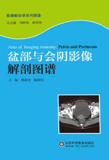 影像解剖学系列图谱  盆部与会阴影像解剖图谱 封面