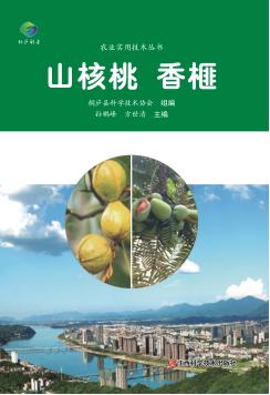 山核桃  香榧 封面