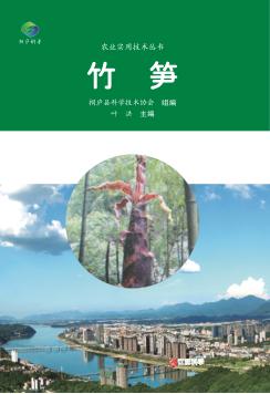 竹笋 封面