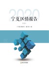 宁夏区情报告  2020  上 封面