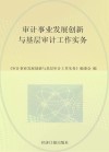 审计事业发展创新与基层审计工作实务 封面