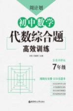 周计划：初中数学代数综合题高效训练（七年级）答案详解版 封面