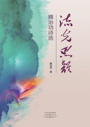 流光思韵：魏治功诗选 封面