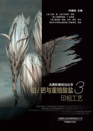 铂/钯与重铬酸盐印相工艺 封面