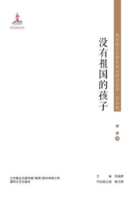 没有祖国的孩子 封面