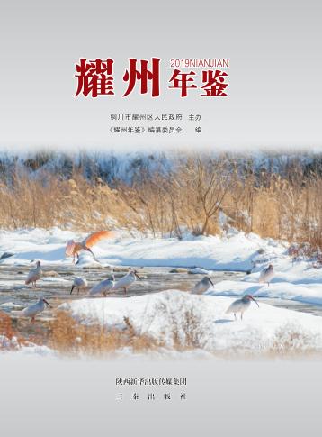 耀州年鉴  2019 封面