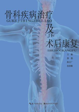 骨科疾病治疗及术后康复 封面