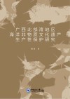 广西北部湾地区海洋非物质文化遗产生产性保护研究 封面
