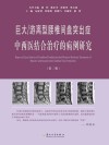 巨大游离型腰椎间盘突出症中西医结合治疗的病例研究  第2版 封面