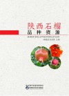 陕西石榴品种资源 封面