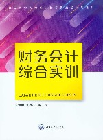 财务会计综合实训 封面