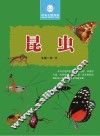 昆虫 封面