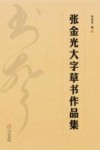 张金光大字草书作品集 封面