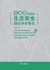 长株潭城市群生态安全综合评价研究 封面
