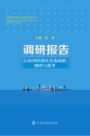 调研报告 封面