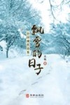 飘雪的日子 封面
