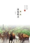 湿地精灵 封面