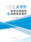 大学生职业生涯规划与创新创业指导 封面