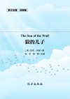 狼的儿子 封面