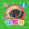 小海豚认知书  幼幼版  动物  8  海洋动物  英汉对照 封面