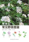 梵净山常见野菜图鉴 封面