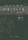 彩图实用中草药 封面