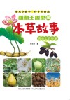 植物王国里的本草故事  舌尖上的本草 封面