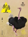 鸵鸟王 封面