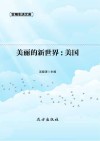 美丽的新世界：美国 封面