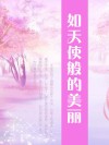 如天使般的美丽 封面