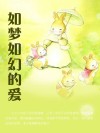 如梦如幻的爱 封面