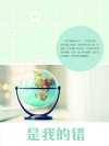 是我的错 封面