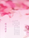 逝去的梦 封面