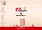 党建领航新徐矿  5 封面