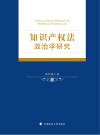 知识产权法政治学研究 封面