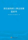 湖北省残疾人事业发展蓝皮书 封面