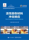 活性毁伤材料冲击响应 封面