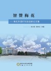 智赞梅花  梅花井煤矿科技创新论文集 封面