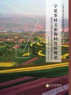 宁夏乡村文旅协同发展概述 封面