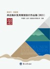 新时代·新探索:西北地区优秀规划设计作品集  2021 封面