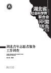 湖北青年志愿者服务工作调查 封面