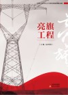 亮旗工程  国网太原供电公司深化党建创新实践 封面
