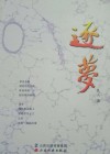 逐梦 封面